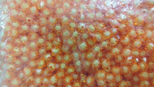 مهره مکعبی پاستیلی ۸ بسته ۵۰۰ گرمی